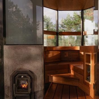 Alternative view of Cozy Heat SW Thru-Wall Sauna Stove- Wood Burning Sauna Stove, Up to 18kW