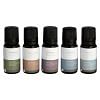 Mr.Steam MS ESSENTIAL 5 Essential Oil 5-Pack, 10ml Bottles