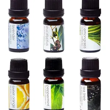 Essential Oils - 6 pack GeyserSteam