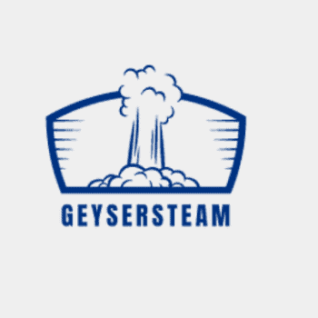 Recurring Maintainance and Deep Cleaning (Recommended) GeyserSteam