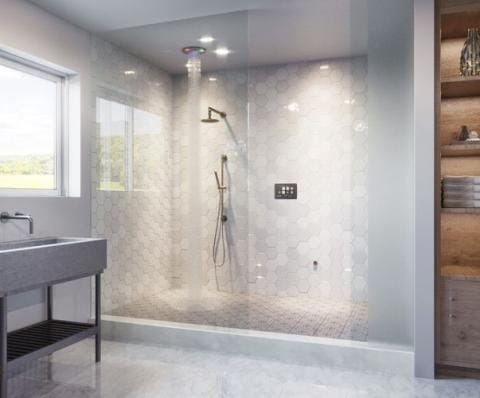 ThermaSol Total Wellness Shower Package with ThermaTouch - Image 8