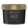 PROSAUNAS Sauna Paint